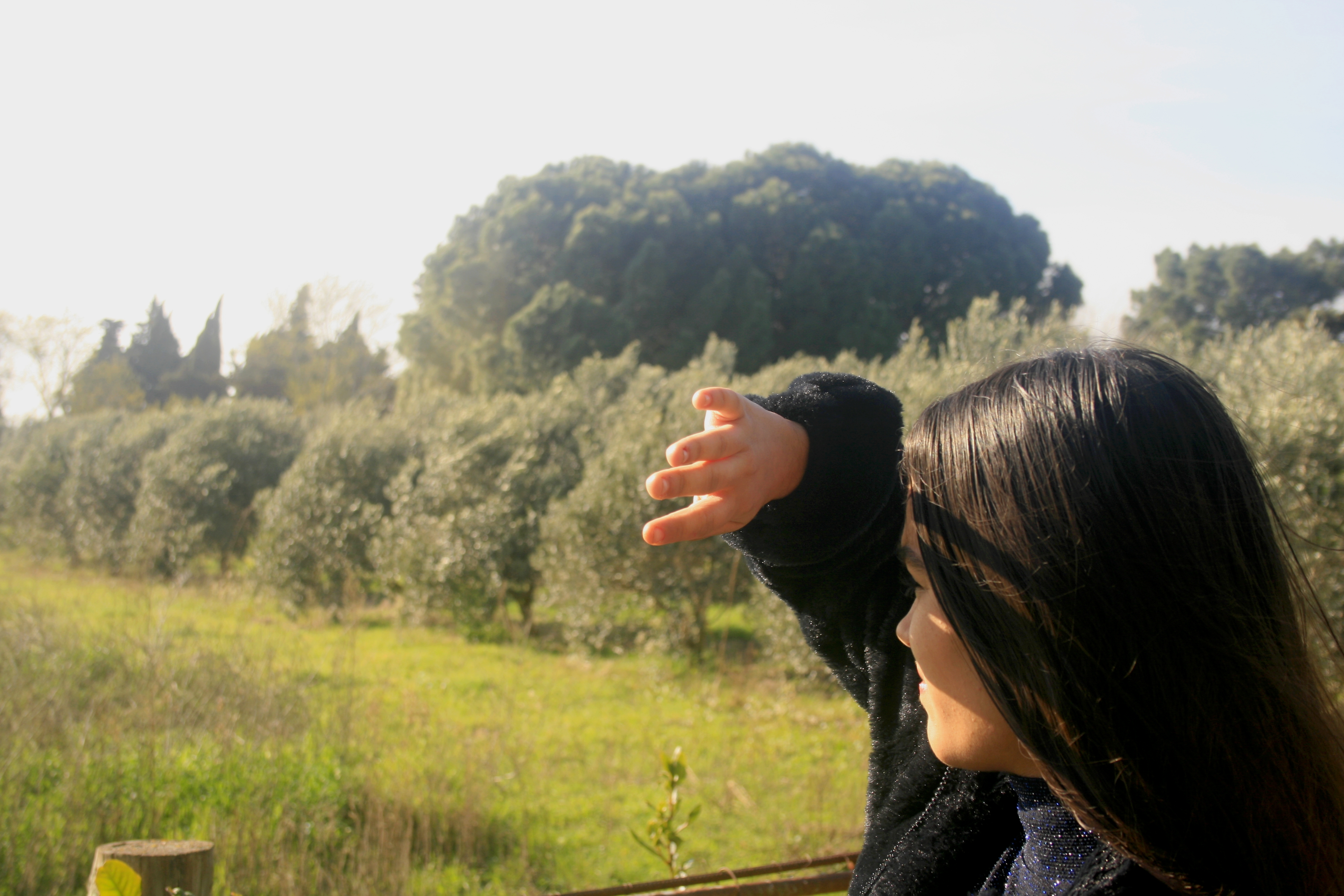 Paysage